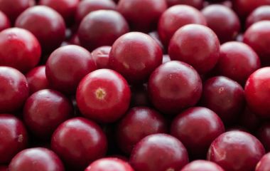 В чём польза клюквы: 5 фактов
