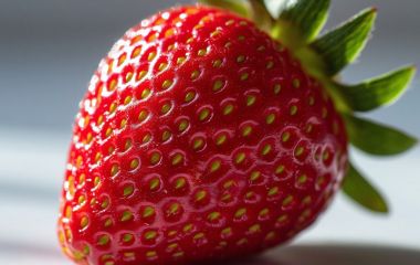 Польза клубники и научные исследования